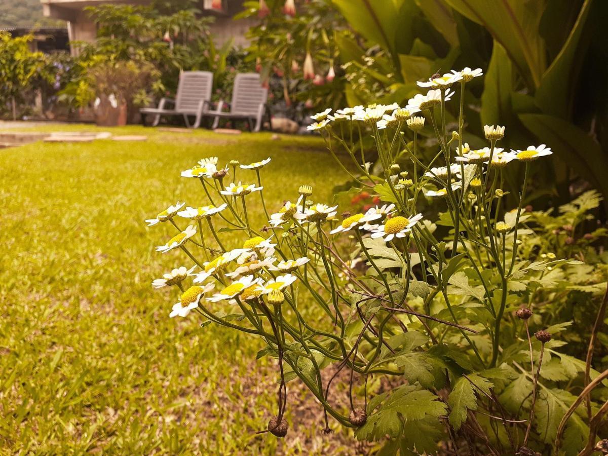 Boquete Town Hostal Экстерьер фото